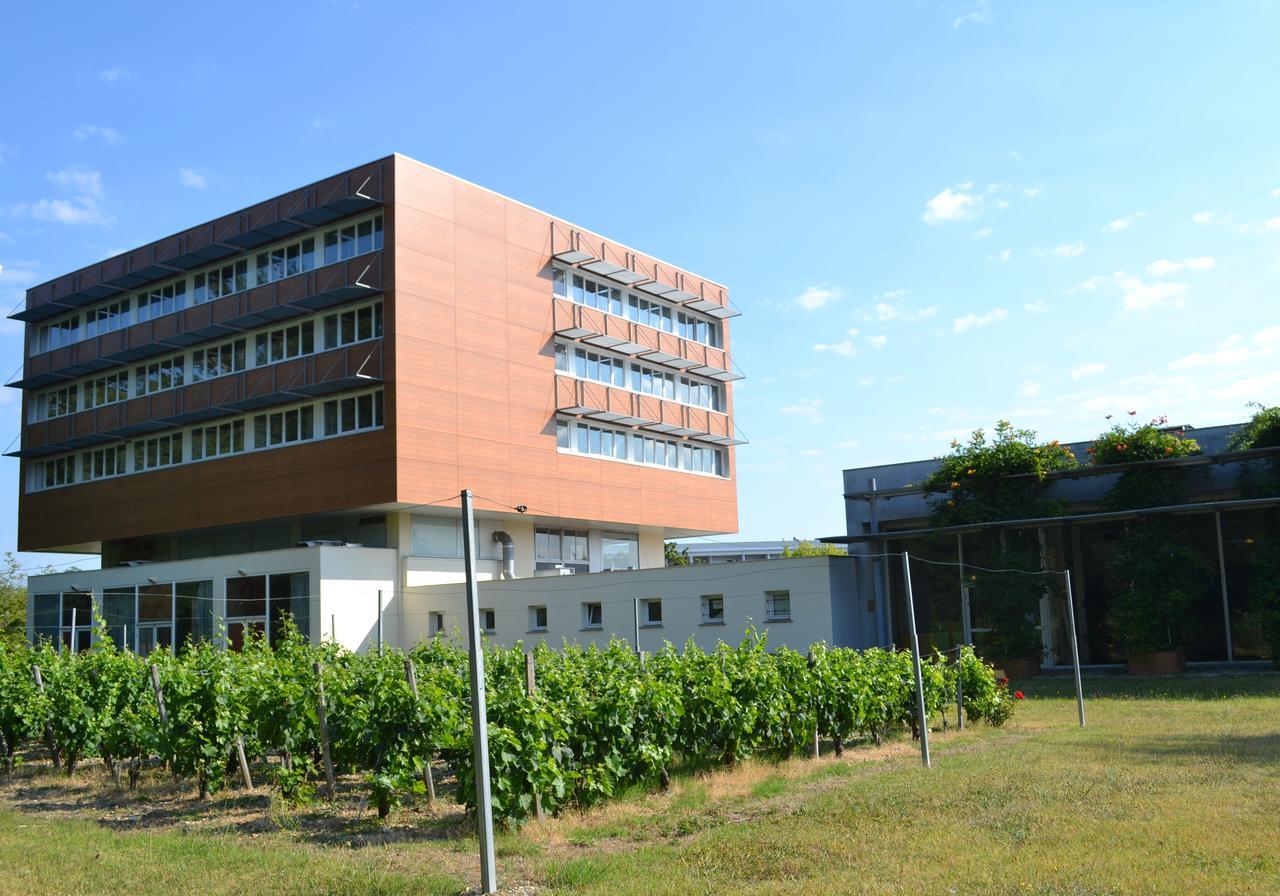 Hotel De Guyenne Talence Exteriér fotografie